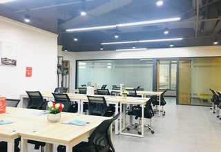 浙江专业转子泵