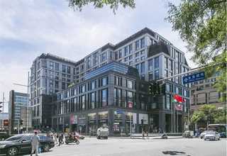 单联叶片泵厂家