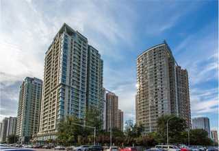 植物油聚醚制造商