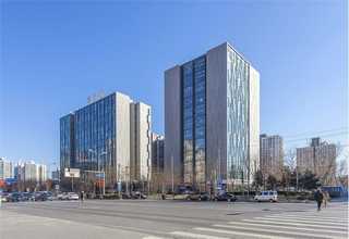 山东细胞铁死亡检测服务